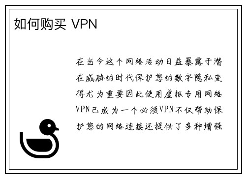 如何购买 VPN 